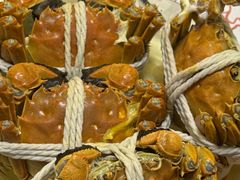 -阳澄湖大闸蟹·琼灵阁牌品牌连锁(吴中总店)