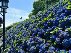 -苏州上方山国家森林公园