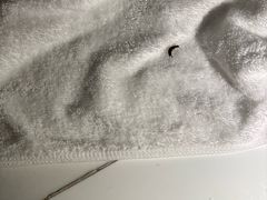 -北京希尔顿逸林酒店