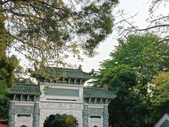-顺峰山公园