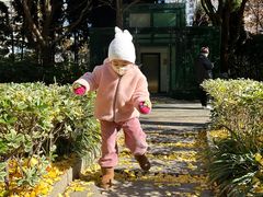 -苏州河梦清园环保主题公园