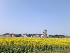 -中国天府农业博览园