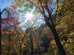 -GAGA主题量贩式KTV平价店(工大店)