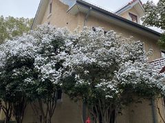-颐和路民国时期公馆风貌区