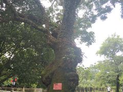 -桂林灵渠景区