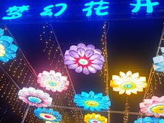 -广西壮族自治区药用植物园