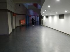 -南京奥林匹克体育中心-体育馆