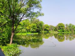 -西溪国家湿地公园