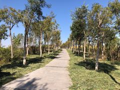 -天津东丽湖风景区