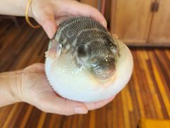 -永安鱼庄·镇江菜(丁卯店)