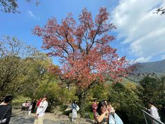 -塔川景区
