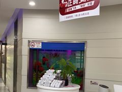 -雅悦齿科(顾村公园店)