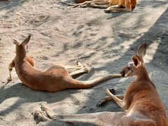 -水上乐园·欢乐世界