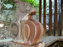 -张家港金凤凰度假村温泉