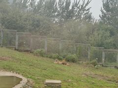 -西安秦岭野生动物园