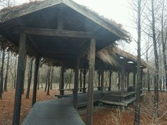 -溱湖国家湿地公园