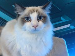 -零纪元VR体验馆·桌游(黄浦店)