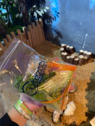 -酷嗒动物文化乐园(cutezoo西溪乐天城店)