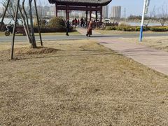 -官亭林海