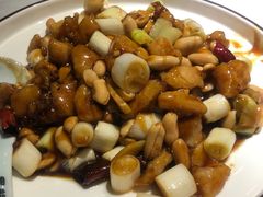 -雲蜀龙阁·金牌水煮鱼(方庄店)