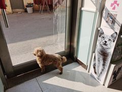 -全心全意连锁动物医院(加州店)