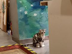 -咖法森林·咖啡  酒吧(天河店)