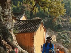 -杨家堂村
