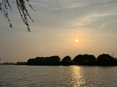 -贡湖湾湿地公园