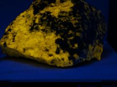 -湖南省地质博物馆