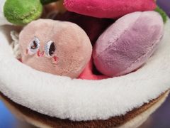 -秦淮礼物(贡院街店)