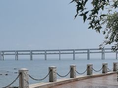 -大连自然博物馆