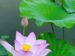 -梅州天地人花园酒店(梅县人民广场店)