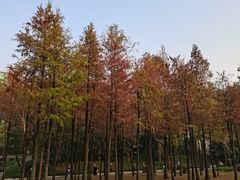 -晓港公园