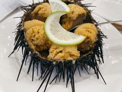 海胆-南山鲜虾面·活鲜小馆·海味大连菜(南山总店)