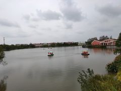 -上海长兴岛郊野公园