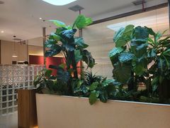 -悦海·家宴·冰花皮皮虾大锅贴(宝龙店)
