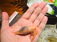 -一本料理(西溪天街店)
