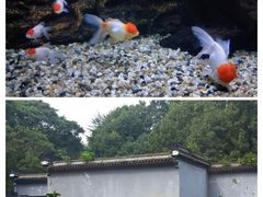 -杭州动物园