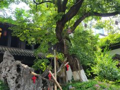 -南京市民俗博物馆(甘熙故居)