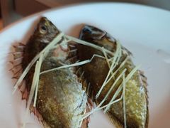 -青蓬蒸汽海鲜·深圳老字号·团建聚会(壹方城店)