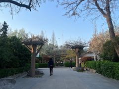 -济南大明湖景区