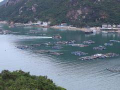 -南丫岛