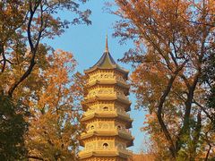 -灵谷景区