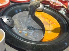 -生活如沸·顺德水牛奶火锅(大学路店)
