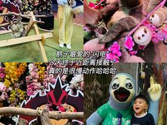 -正佳雨林生态植物园