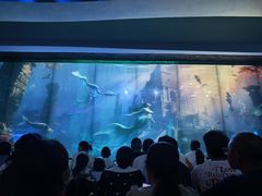 -海合安成都极地海洋公园