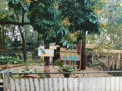-广州动物园