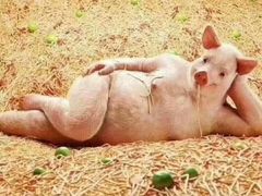 -中医药大学-老3楼餐厅