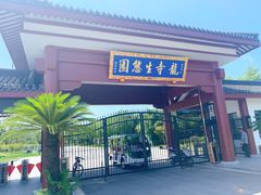 -龙寺生态园