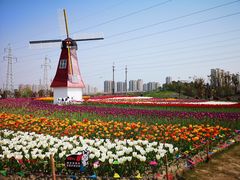 -菊园百果园